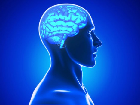 pain-arth-brain
