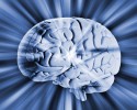 brain-craig