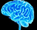 brain-tibi