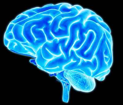 brain-tibi