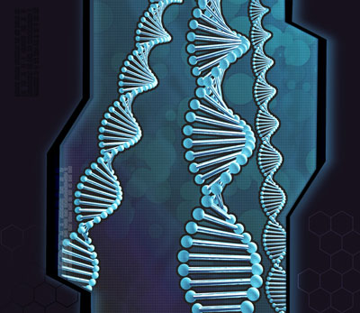 research-md