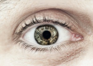 http://www.dreamstime.com/stock-photo-male-eye-macro-closeup-eyelid-eyelashes-interesting-iris-pattern-image39642330